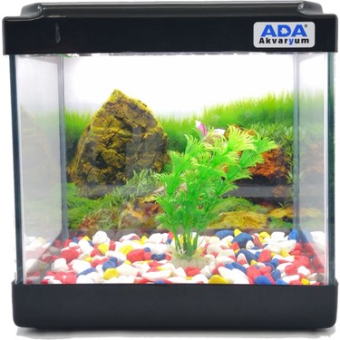 Ada Akvaryum Ada Akvaryum Mini Akvaryum Siyah 20X20X15 Akvaryum Renkli Çakıl Plastik Bitki Arka fiyatı ve görseli