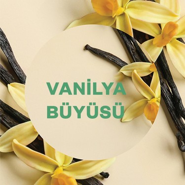 Air Wick Air Wick Elektrikli Kit Oda Kokusu Vanilya ( 1 Adet Cihaz + 1 Adet Yedek Şişe — 3. ürün görseli