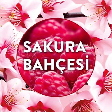 Air Wick Air Wick Elektrikli Oda Kokusu Yedek Şişe Sakura — 3. ürün görseli