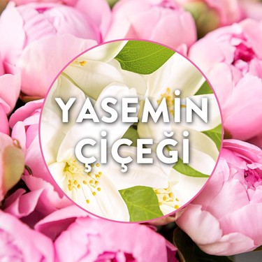 Air Wick Air Wick Elektrikli Oda Kokusu Yedek Şişe Yasemin — 3. ürün görseli