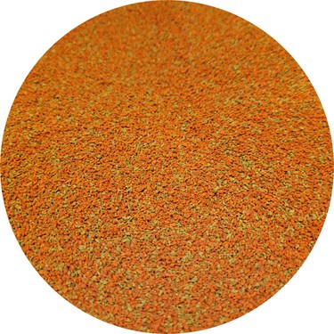 Amore Amore Tropical Balık Yemi 100 gr, Lepistes, Canlı Doğuran, Melek, fiyatı ve görseli