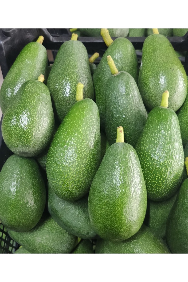 Anamur Meyvecim Anamur Meyvecim Taze Avokado 1 kg Dalından Koparılmış Sağlıklı Meyve Türkiye — 6. ürün görseli