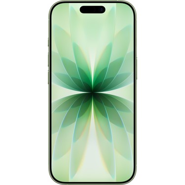 Apple Apple iPhone 17 512 GB Ada — 2. ürün görseli