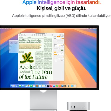 Apple Mac Mini M4 16GB 256GB SSD macOS Mini PC Fiyatları