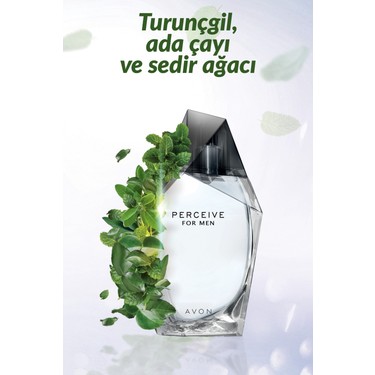 Avon Avon Perceive EDT 100 ml Erkek — 3. ürün görseli