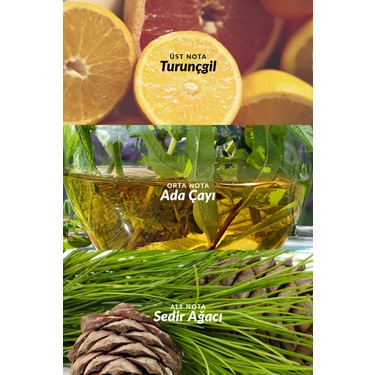 Avon Avon Perceive EDT 100 ml Erkek — 4. ürün görseli