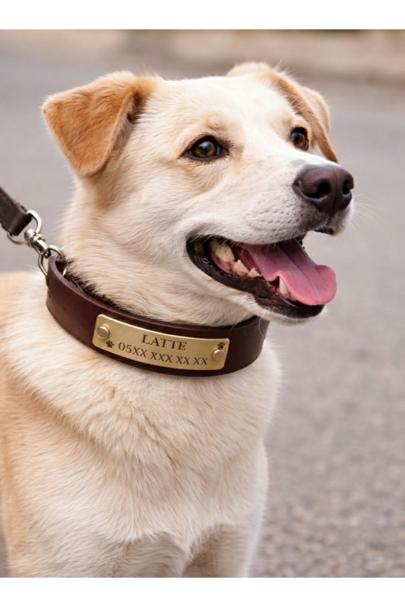 Bakani Bakani Leather Kişiye Özel Köpek İsimli Boyun Tasması — 2. ürün görseli