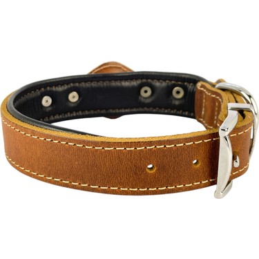 ‎Canini Collar ‎Canini Collar Canini Collar Hakiki Yağlı Deri Airtag Uyumlu Köpek Tasması – Dayanıklı, Konforlu ve — 5. ürün görseli