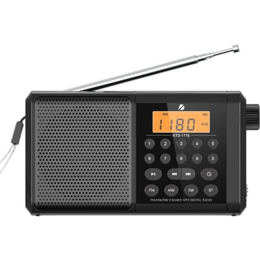 Flagen Dijital Ekranlı Saatli Manuel Kanal Arama & Kayıt Özellikli Fm Radyo Bluetooth Hoparlör — 5. ürün görseli