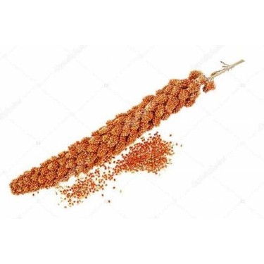 Doğal Doğal Kızıl Dal Darı 500 gr Organik Kuş Yemi Protein Deposu Türkiye — 2. ürün görseli
