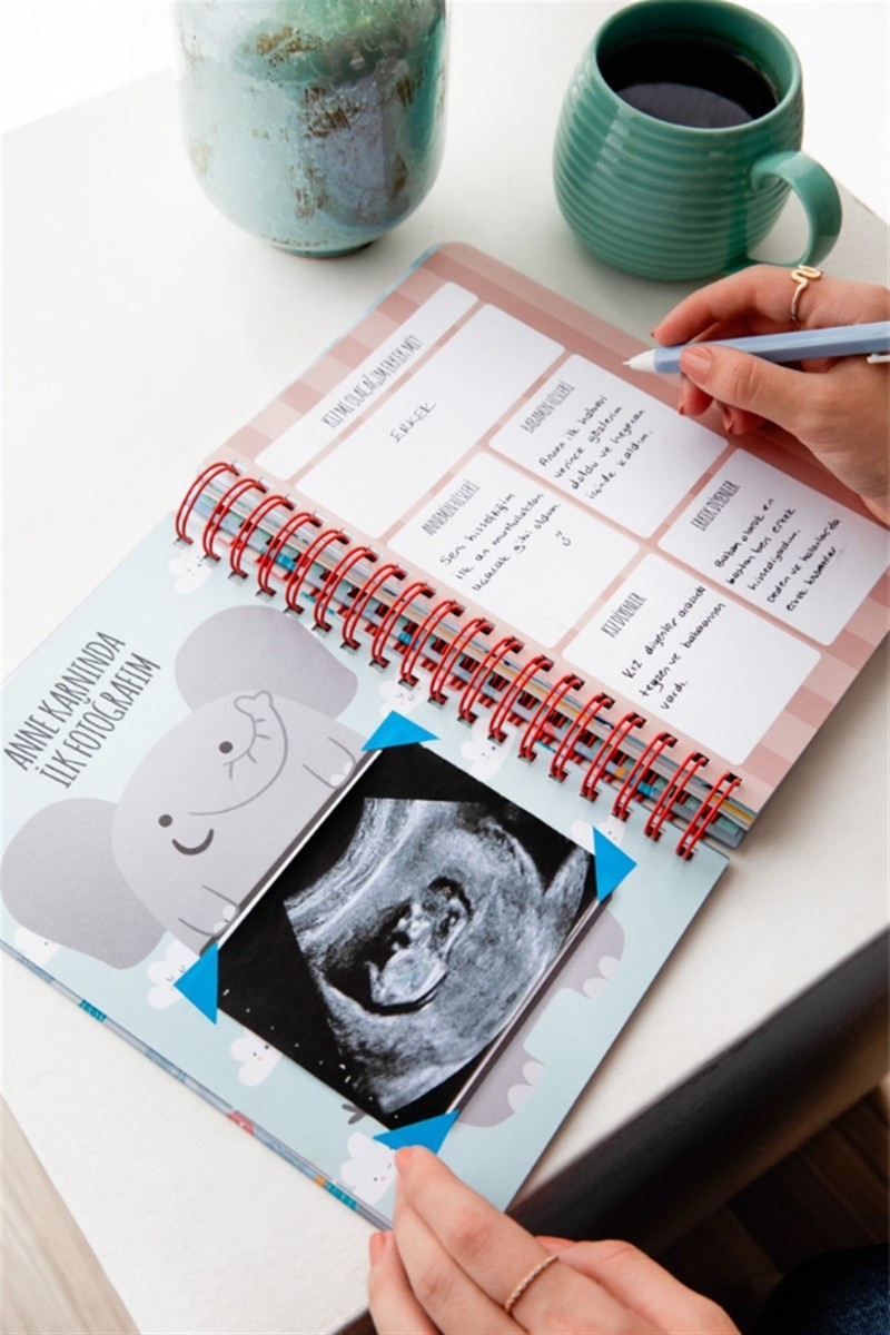 Le Le Color Bebek Anı Defteri ve Hamile Albümü Kız + Sticker — 3. ürün görseli