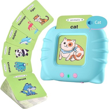 Learning Fun Learning Fun 224 Adet Flash Kart Şarjlı Sesli Eğitici Okul Öncesi Eğitim Dil Oyuncağı Ingilizce - fiyatı ve görseli