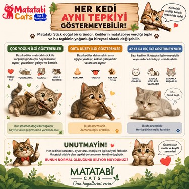 Matatabi Matatabi Cats 3 Lü Küçük Kedi Kemirme Çubuğu Doğal diş fırçası,doğal Kedi Oyuncağı 12 cm Eğlenceli — 6. ürün görseli