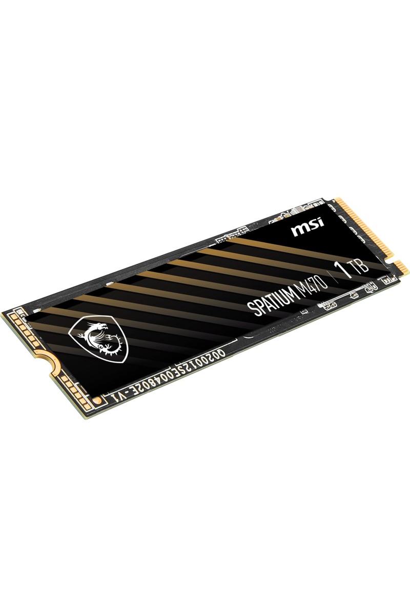 MSI MSI SPATIUM M470 PRO 1TB NVMe PCIe Gen4 x4 Okuma 6000MB – Yazma 4500MB M.2 SSD — 2. ürün görseli