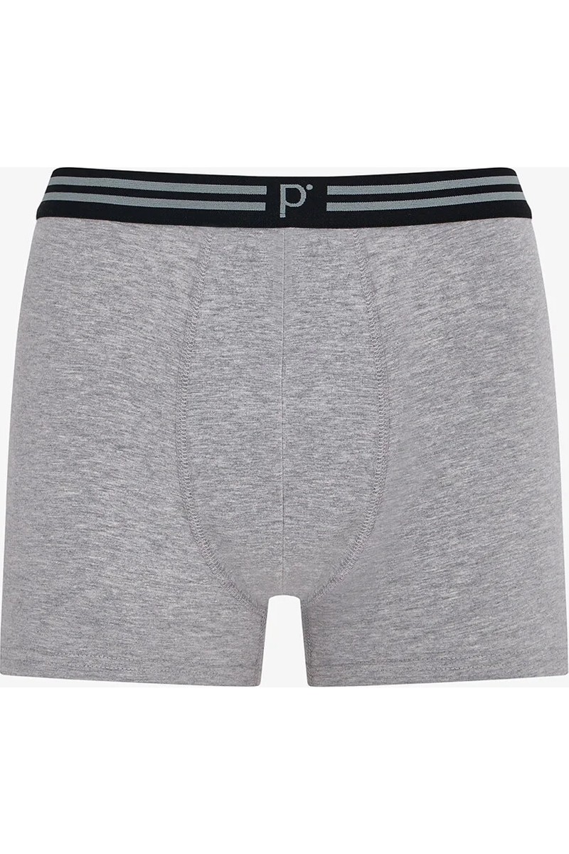 Penti Penti Erkek Urban Line 5'li Boxer — 2. ürün görseli