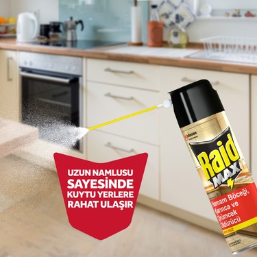 Raid Raid Max Böcek Öldürücü Sprey 300 — 3. ürün görseli
