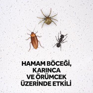 Raid Raid Max Böcek Öldürücü Sprey 300 — 4. ürün görseli