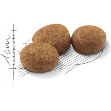 Royal Canin Royal Canin Sterilised 37 - Kısırlaştırılmış Kedi Maması 2 — 2. ürün görseli