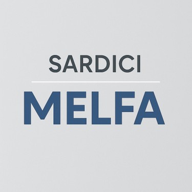 Sardıcı Sardıcı Lavabo Batarayası Çift Su Girişli Gümüş Renkli Modern Tasarım — 3. ürün görseli