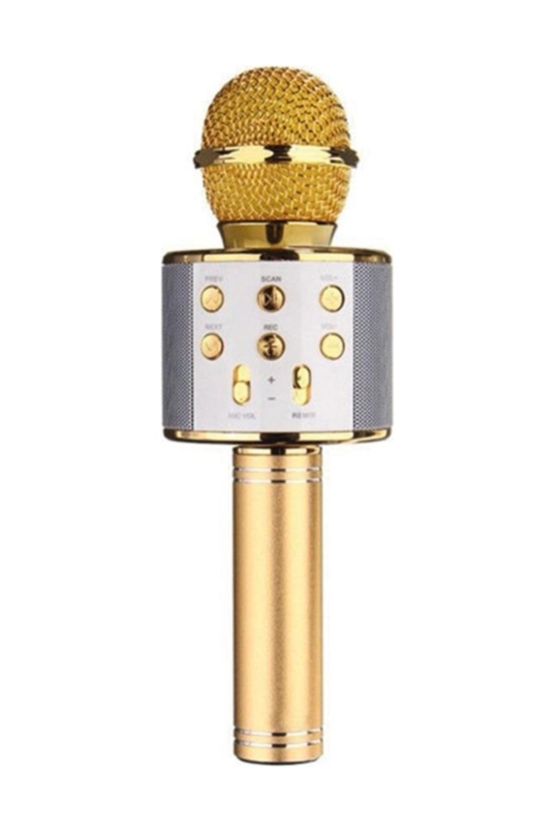 Wster Wster WS-858 Gold Bluetooth Karaoke Mikrofon Yüksek Ses Kalitesi ile Profesyonel Kullanım İçin — 2. ürün görseli