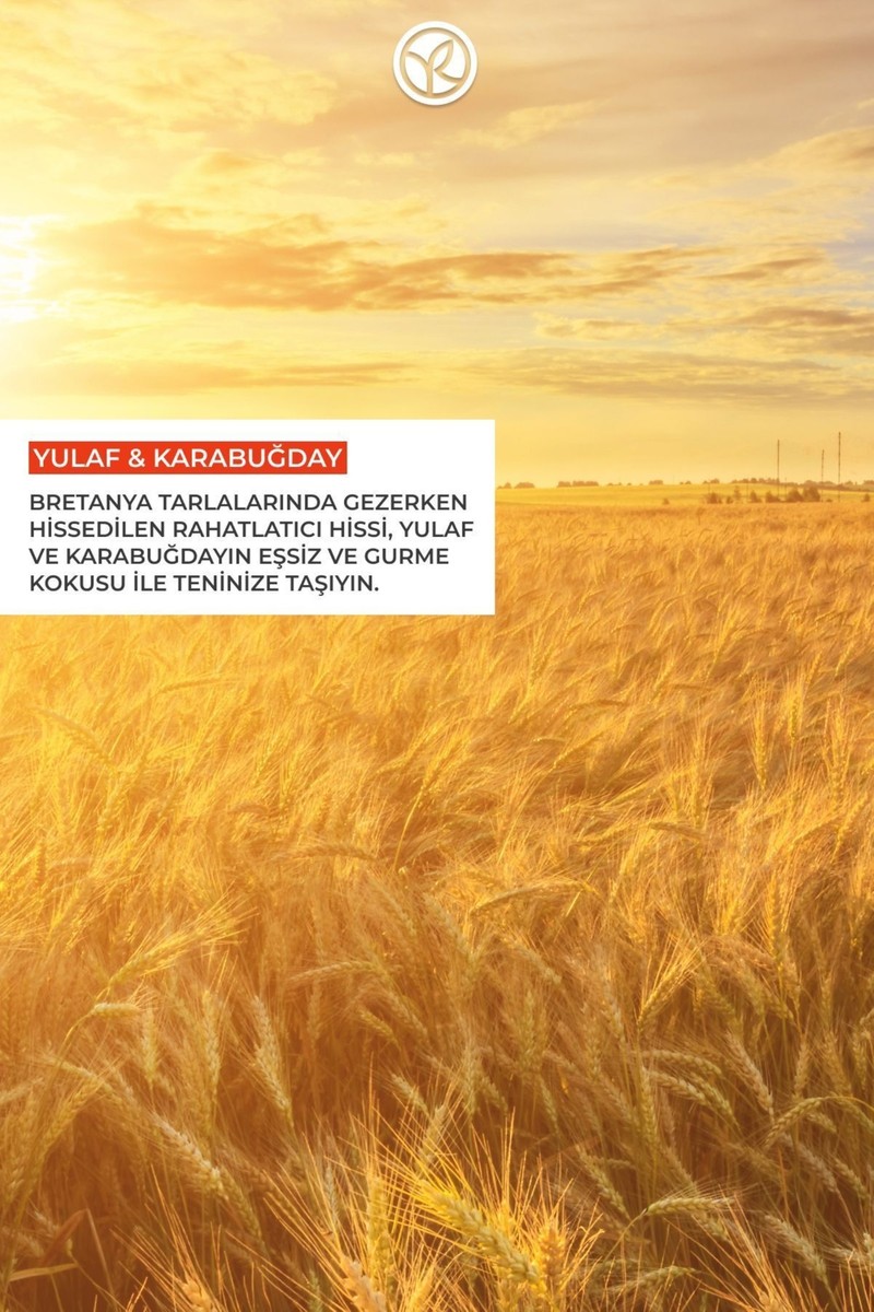 Yves Yves Rocher Duş Jeli - Nemlendirici Rahatlatıcı Yulaf & Karabuğday - SLS,SLES İçermez,Vegan-200ml — 3. ürün görseli
