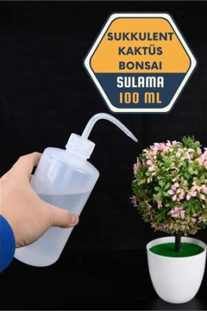 Sukkulent Kaktüs Bonsai Sulama Şişesi. Ev Ürünleri ve Ev Ürünleri.