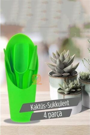 Kaktüs Sukkulent Dikim Seti . Ev Ürünleri ve Ev Ürünleri.